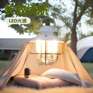 Cross-Border Outdoor Camping Atmosphere Light USB Long-Lasting Portable Tent Camping Lighting Pine Cone Light Small Chandelier