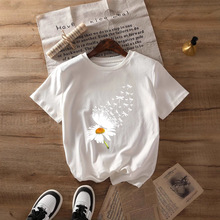 ��ó����վŮʽ����Բ�쿨ͨӡ������t��-M