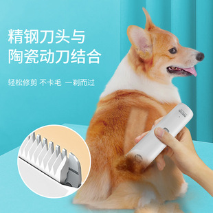 ��˹������ë��������Ƽ����ʽ��ë��̩�Ϲ����Ӽ�ë؈��ë��Ʒ