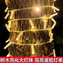 挂树上的彩灯闪灯串灯满天星户外树挂装饰盘树灯led树灯绕树灯带
