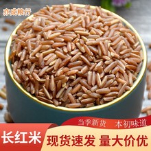 长粒红米批发 五谷杂粮红粳米粗粮糙米饭25kg血稻红大米