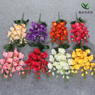 5�愦�m�����滨�����S�����l �������m��c�羳���Q���̼ٻ��b�