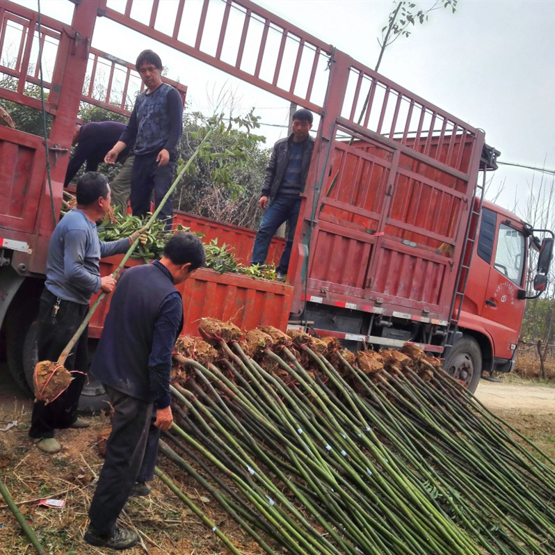 IMG_20160307_160420_����