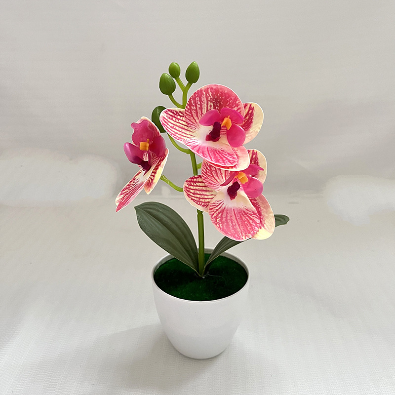 빨간색 줄무늬 (높이 20cm 폭 11cm)