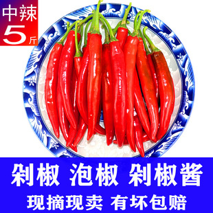 �V�|�Fժ΢�����r�t�������˽����������ݽ��⽷���u�罷�r���߲�
