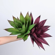 ���������mֲ�����ԼپGֲ�ߙn�zӰ���ߵز�Ҿ��쾰�[���b��~��