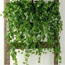 ��ɽ���ٗl�b������~�Gֲ��������ֲ����~�젝�ڹܻ�