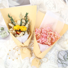 ins�ɻ�����õ���r�������������M���ǋDŮ���˹��}�Q�����I�Y��