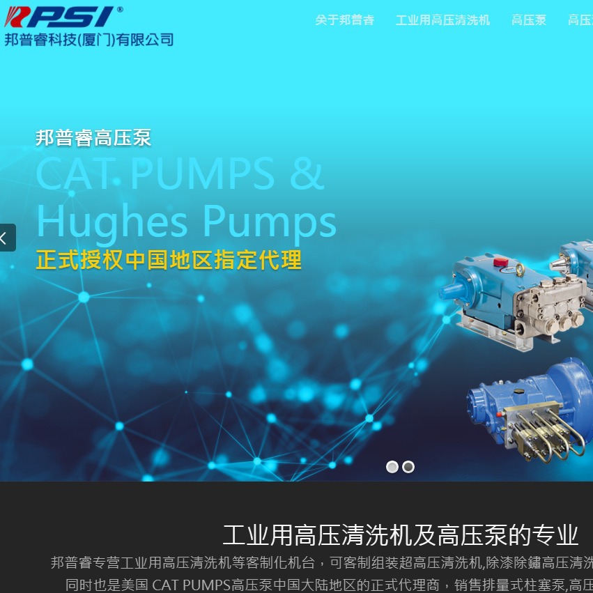 正规供应美国猫牌CAT PUMPS高压柱塞排污泵241