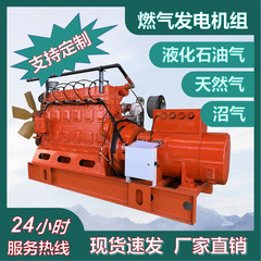 厂家直销风光电互补燃气发电机组LPG CNG发电机组山东潍坊