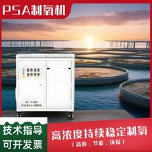 PSA制氧机小型一体机高效产出 93%±3% 纯度氧气满足制氧设备