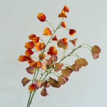 29�����\�����滨�͏d�Ҿ��b���ɫϵ�л�c�����b��������l