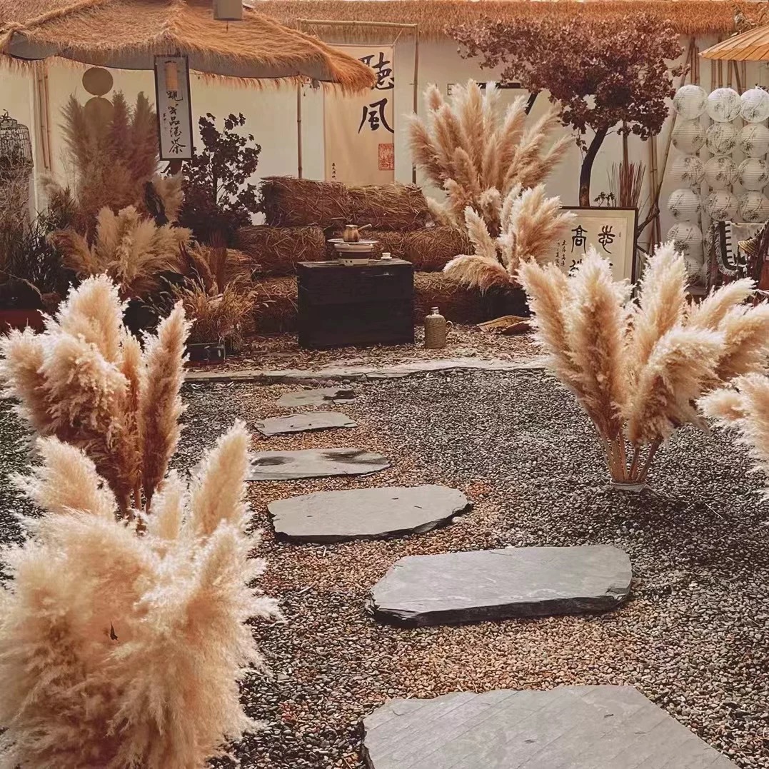 88326d66cd31dbedc32f0c5d23044c