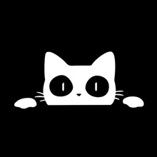 汽车窗反光贴纸个性创意雕刻车贴偷窥猫咪surprise cat卡通宠物猫