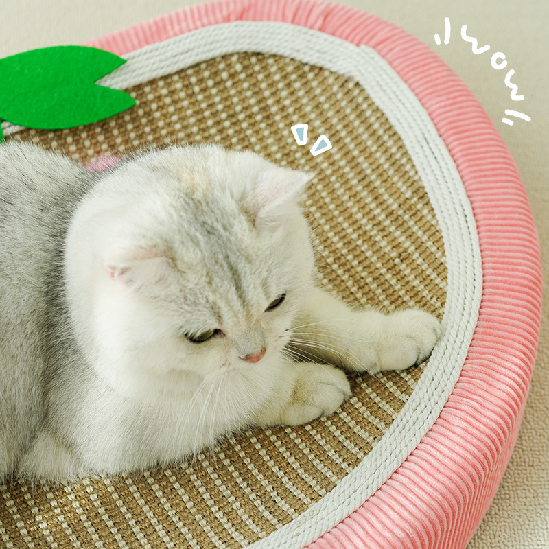 Placa de agarre para gatos de sisal