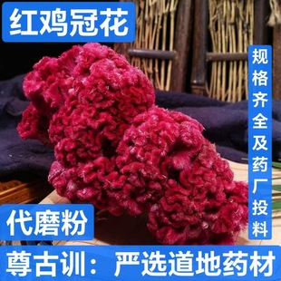 ��ș�� �u�ڻ� �u�ٻ� �ρ��t�J���u�ڹP�u�� �Pβ�u�� ֧��ș�z