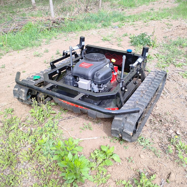 Cortacésped de pista pequeña con control remoto