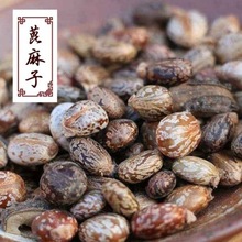 ��؛MҰ��������ӱ����ӱ����ʱ����ѷN�Ӽt������