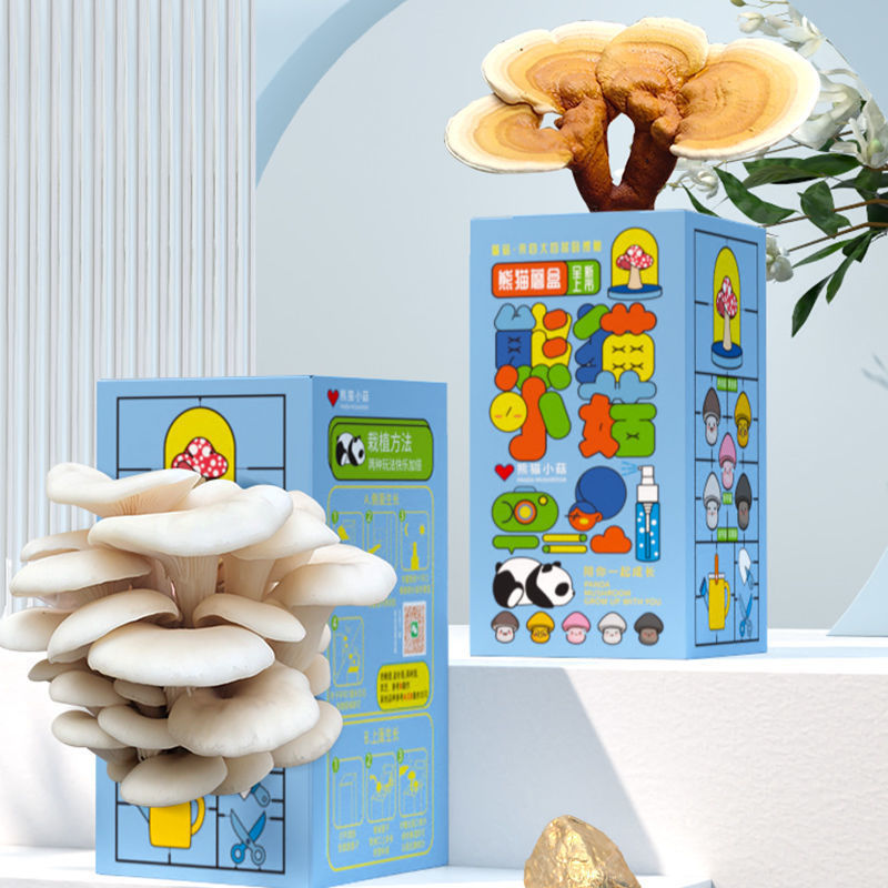 F Mushroom Box Gift Set: Shiitake Mushroom Growing Kit, Edible Fungi, Nursery Plant, Green Plant Cultivation Box, Bagged Y F Mushroom Box Gift Set: Shiitake Mushroom Growing Kit, Edible Fungi, Nursery Plant, Green Plant Cultivation Box, Bagged Y