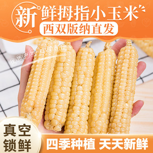 ����ʯ���x�����p��{����ĴָС���נI�B��ʳ������հ��b1��/2