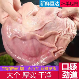 ���rֻ���i��ȥ��ɢ�B�r���i���iθ��ϴ������