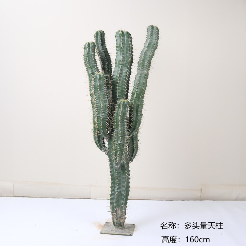 仿真龙神柱仙人掌寄生仙人球摩洛哥沙生植物造景软装样板工程装饰|undefined