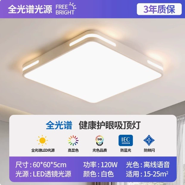 LED rectangular ceiling light, lights for living room for corridor for gazebo