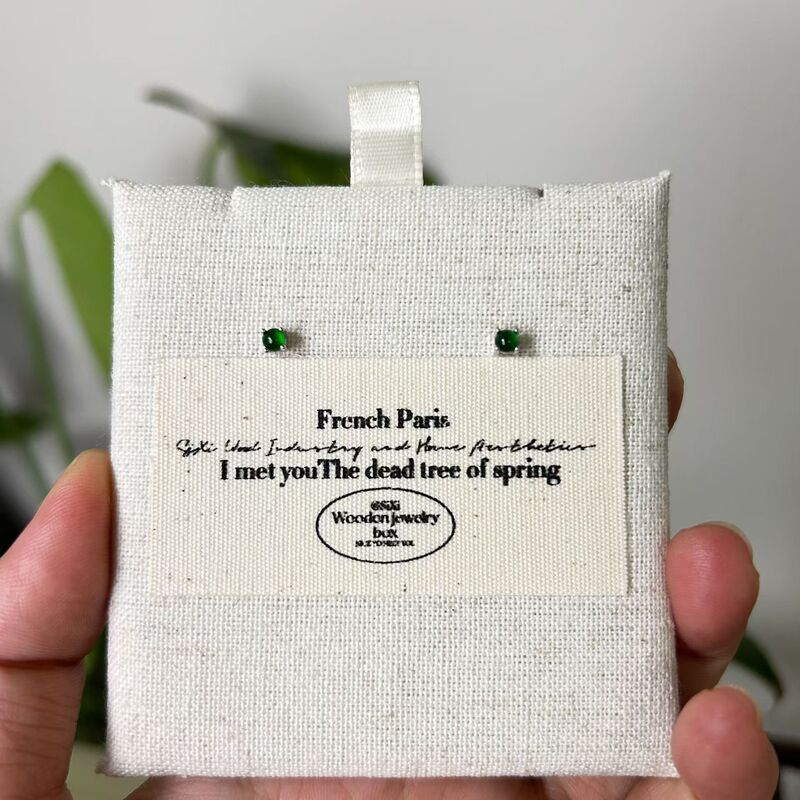 Wu Lin 2024 new fashion high-end earrings women's temperament simple earrings earrings simple factory direct sales