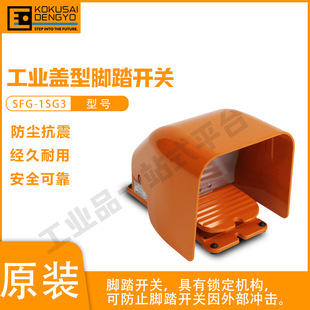 The protective structure of the locking mechanism of the International Electrical foot switch SFG-1SG3 including The Circuit reaches IP66