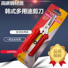 �����¼����ѹ��I�����nʽ������;�FƤ���F�z�@ˇ�����ۼ��~�P��