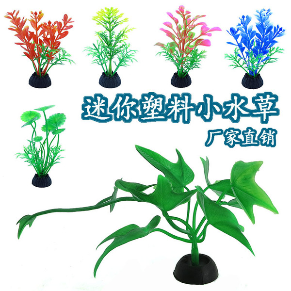 Aquarium decor