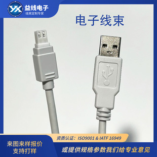 USB����B�Ӕ����� �����D���� �ƏS�� ���������a���N����