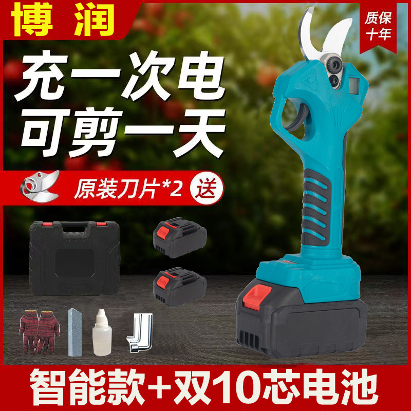 プロの国境を越えた電動剪定鋏、リチウム電池剪定鋏、庭の果樹の果実の枝はさみ、園芸の枝剪定電動工具|undefined