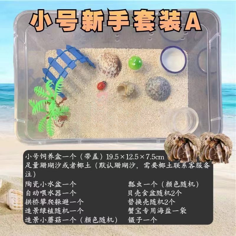寄居蟹专用饲养爬宠饲养盒昆虫观察盒新手套装饲养缸寄居蟹套餐|undefined