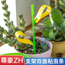 ¿F؛QճxճxlƬزSɫNxxT