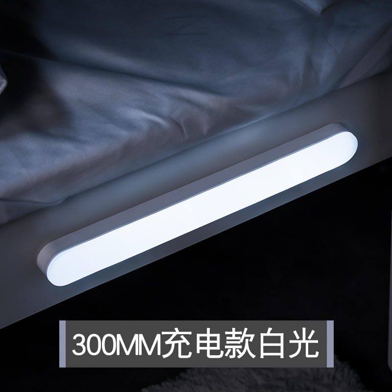 유도형 모델 30cm + 백색광 + 무단계 디밍