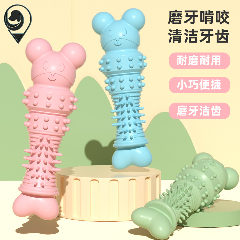 애완 동물 용품 새로운 개 장난감 물기 방지 연삭 스틱 귀여운 곰 뼈 물린 장난감 세트