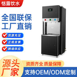 步进式直饮水机商用开水器工厂学校RO反渗透过滤节能大容量净水器