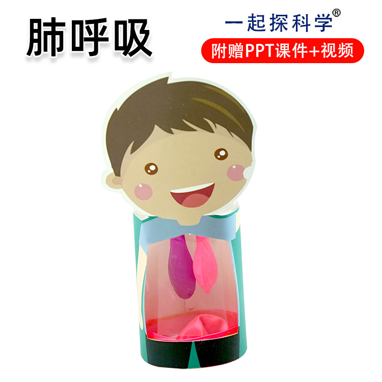 模拟肺呼吸教具幼儿园小学科学实验手工小制作科学实验diy材料包