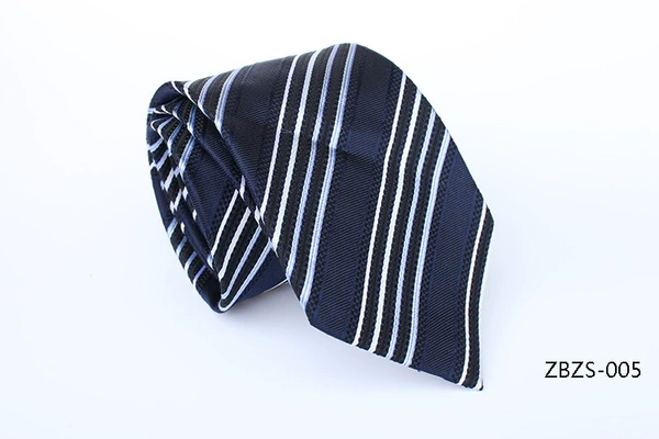 ZBZS-005