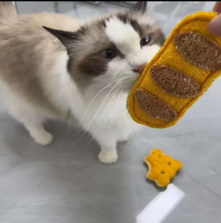 丝瓜络宠物玩具猫咪磨牙洁齿耐咬安全啃咬宠物用品工厂批发|undefined
