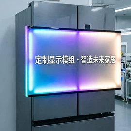 LCD显示屏;显示器件;小尺寸模组