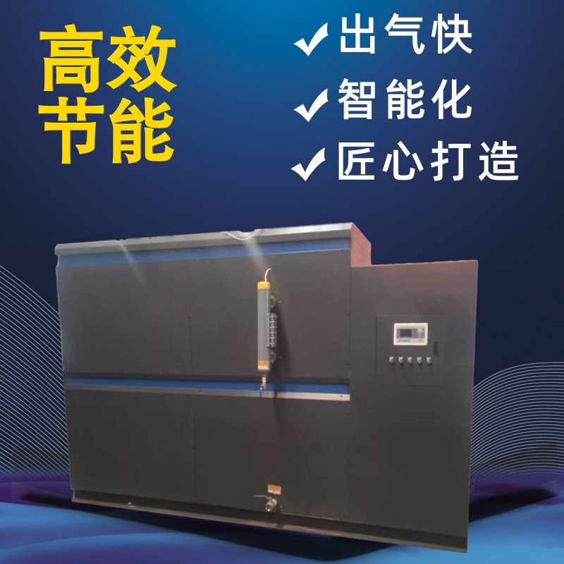 立式低碳 全自动 颗粒蒸汽发生器 双管道多种燃烧蒸汽发生器