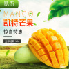 Yunnan Yongren Kate Mango fresh Mango 10 Jin