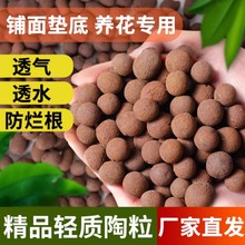 陶粒垫底养花专用多肉土盆栽铺面石花盆水培透气陶土粒回填卫生间
