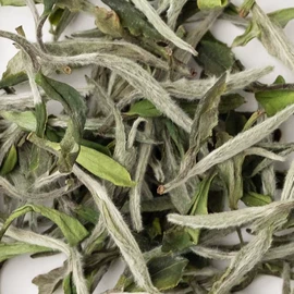 白茶;红茶;乌龙茶