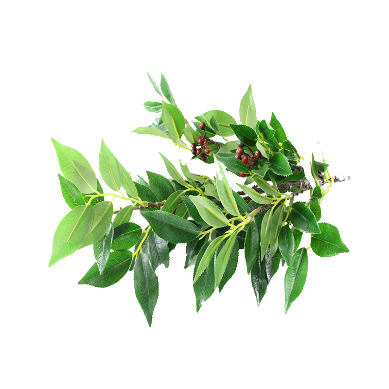 XRB-187 赤楠叶6叉枝立体0 (3).jpg