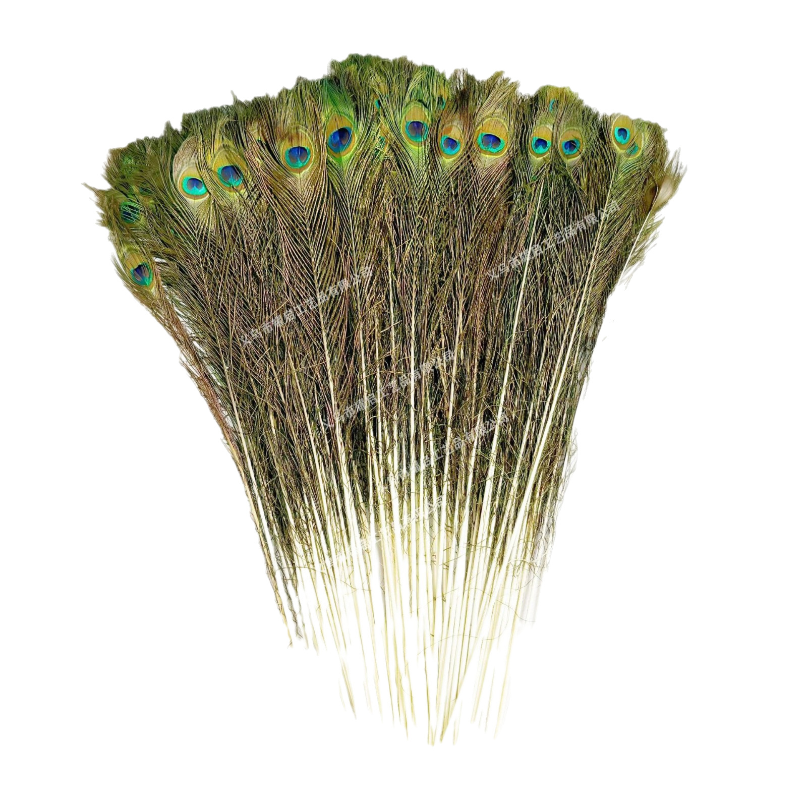 Suministro de stock de alta calidad 70 - 80cm plumas de pavo natural cola casera DIY decoración floral plumas de pavo ornamentos image 6