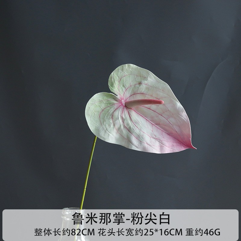 루미나 팜