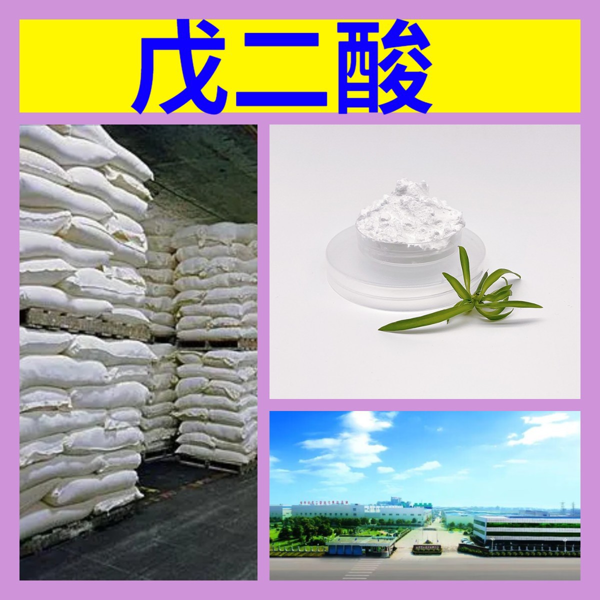 Glutaric acid factory source industrial grade analytical grade customer first satisfactory service Shandong Jiangsu Zhejiang